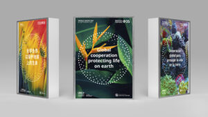 Three poster designs for World Ozone Day 2022 featuring different language translations, promoting global cooperation and protecting life on earth. UN Environment Programme for the World Environment Day 2022. The posters are in Chinese, English, and Spanish. Images include colourful flowers, coral reefs and birds feathers. Visual identity concept by 400.