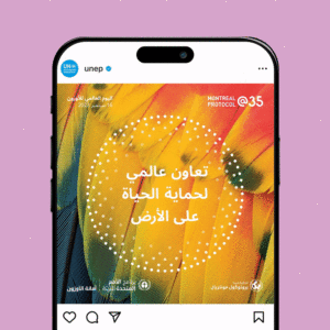 Mobile device showcasing social media posts with text in different languages promoting global cooperation and protecting life on earth. The social media designs are part of the UN Environment Programme’s campaign for the World Ozone Day 2022. Design Concepts by 400. Nature photography.